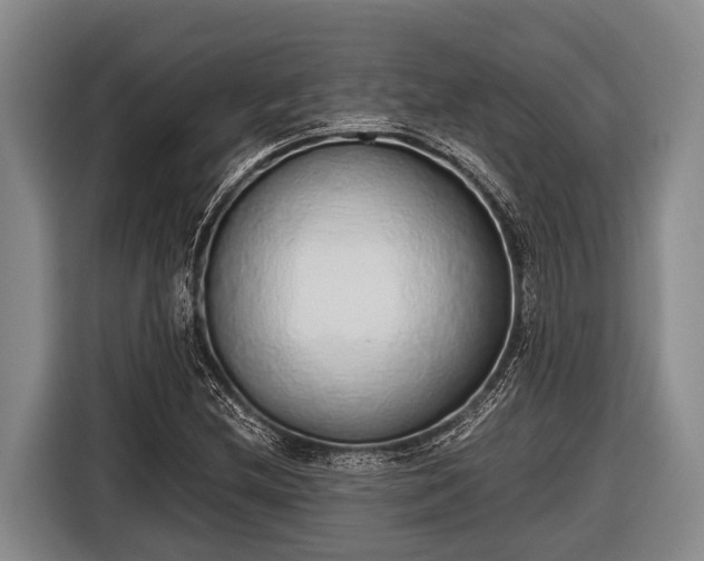 X0000116861212200912291253