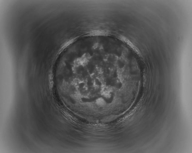 X0000116861213200912291253