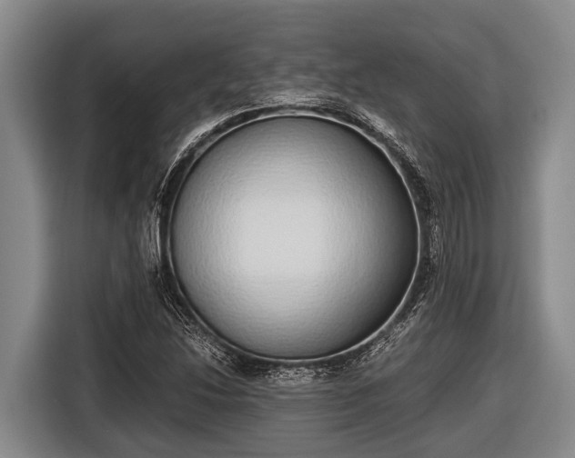 X0000116861214200912291253