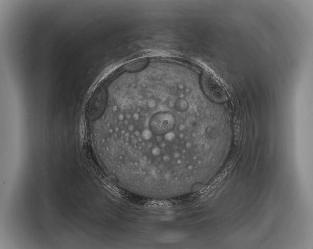 X0000116861215200912291253