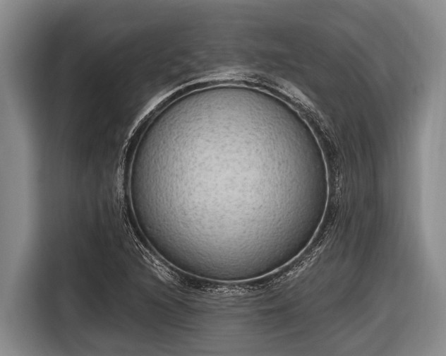 X0000116861216200912291253