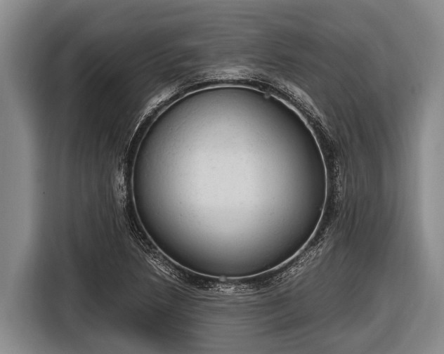 X0000116861218200912291253