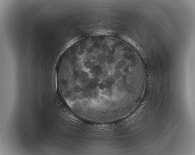 X0000116861219200912291253