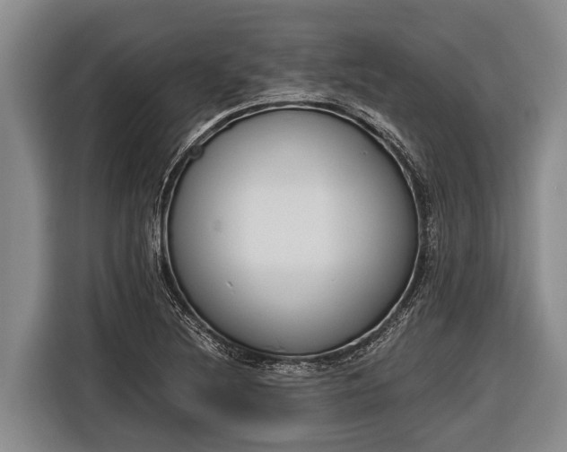 X0000116861220200912291253