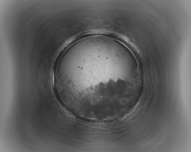 X0000116861221200912291253