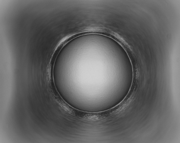 X0000116861222200912291253