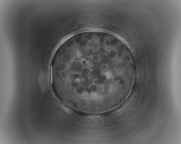 X0000116861223200912291253