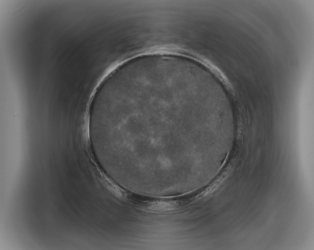 X0000116861224200912291253