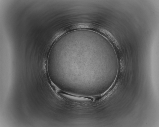 X0000116861225200912291253