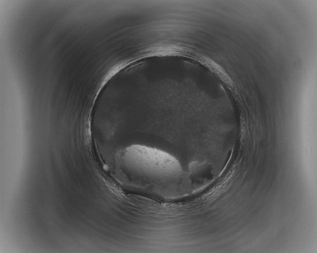 X0000116861226200912291253