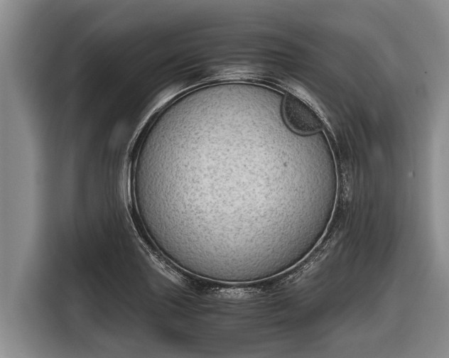 X0000116861227200912291253