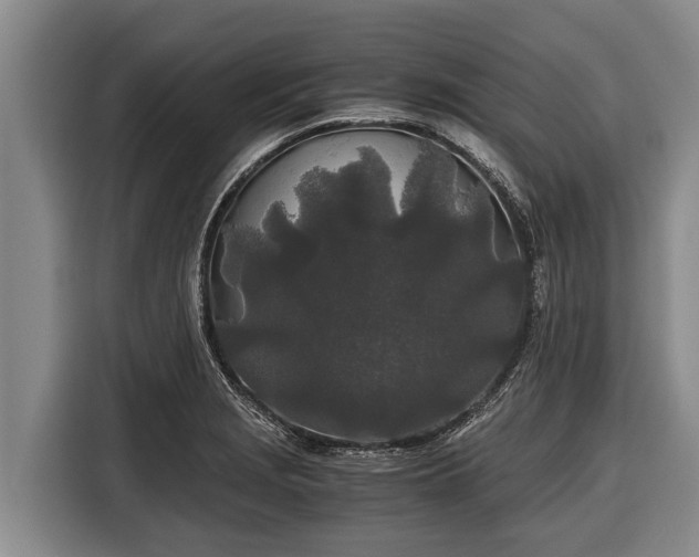 X0000116861229200912291253