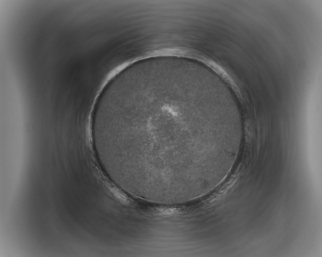 X0000116861230200912291253