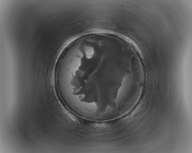 X0000116861231200912291253