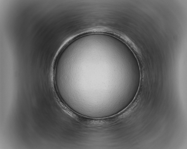 X0000116861232200912291253