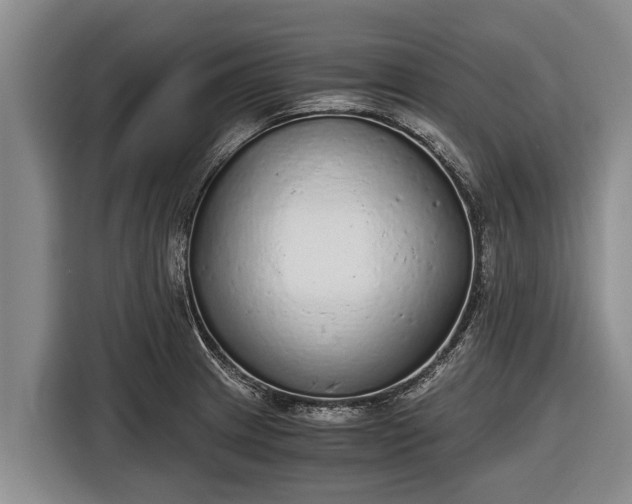 X0000116861233200912291253