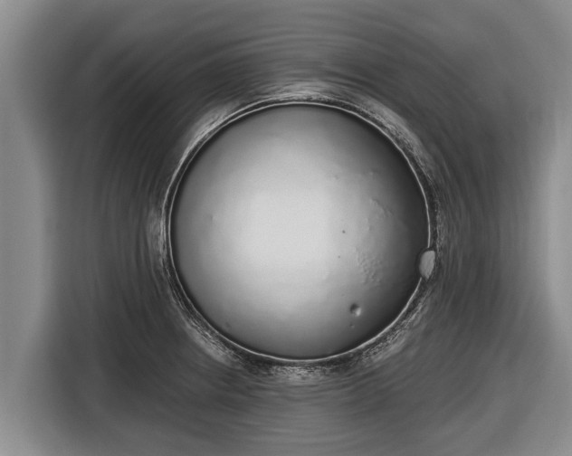 X0000116861234200912291253