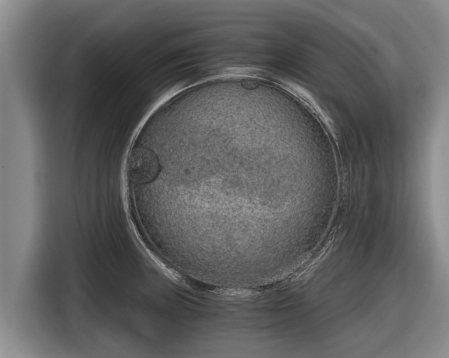 X0000116861235200912291253