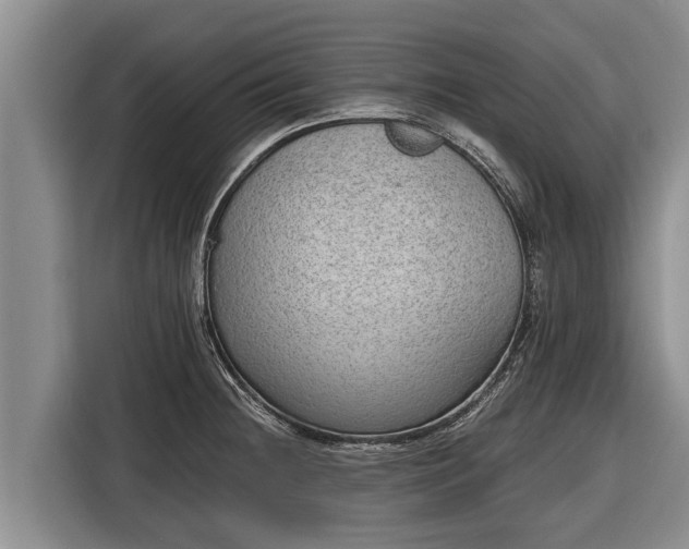 X0000116861236200912291253