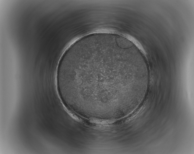 X0000116861237200912291253