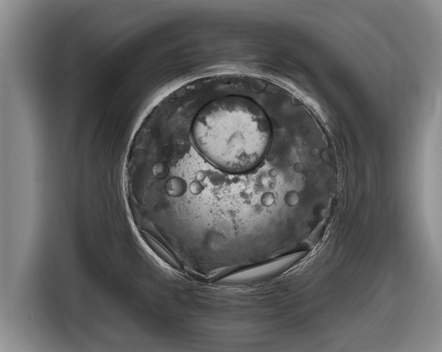 X0000116861239200912291253