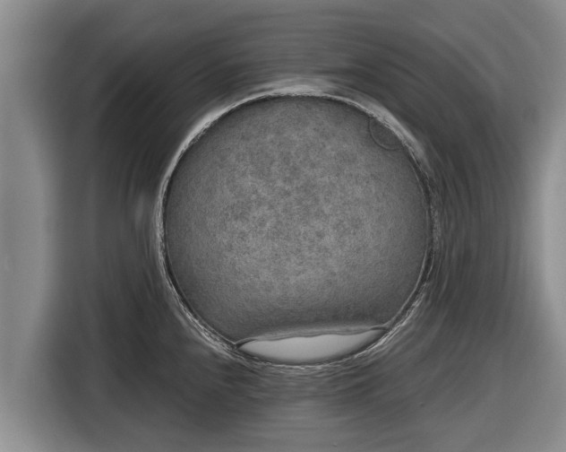 X0000116861240200912291253