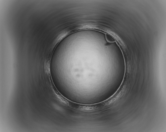 X0000116861241200912291253