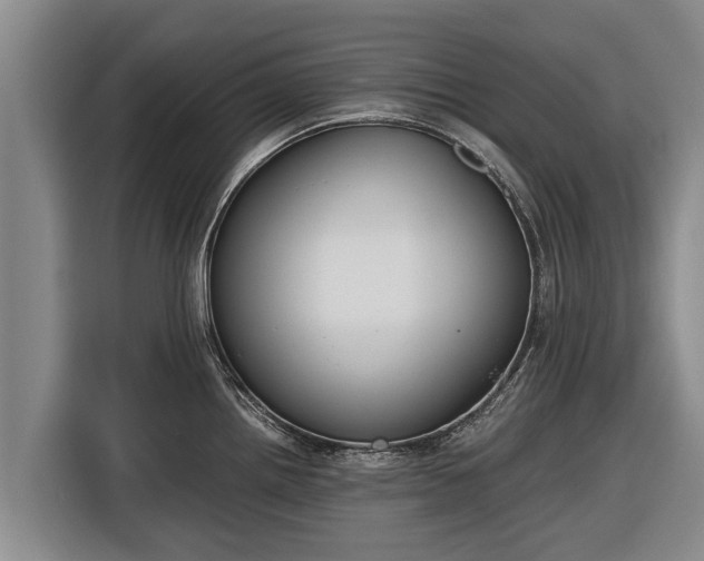 X0000116861242200912291253