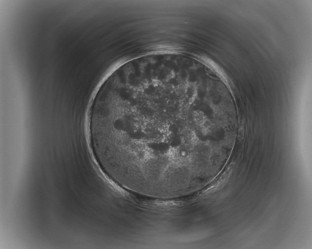 X0000116861243200912291253