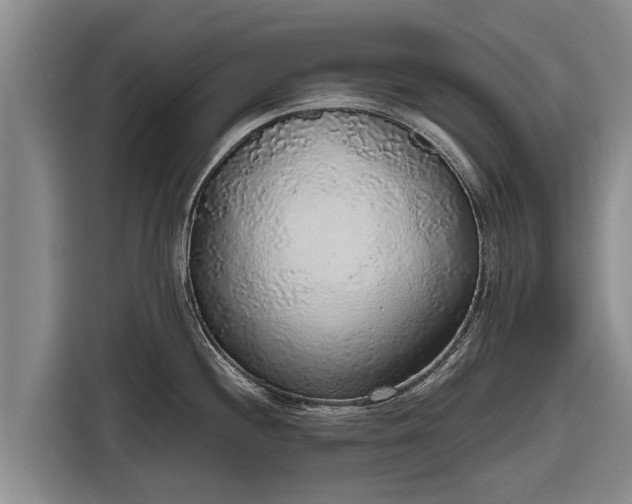X0000116861244200912291253