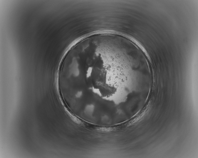 X0000116861245200912291253