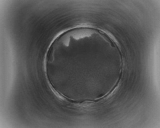 X0000116861246200912291253
