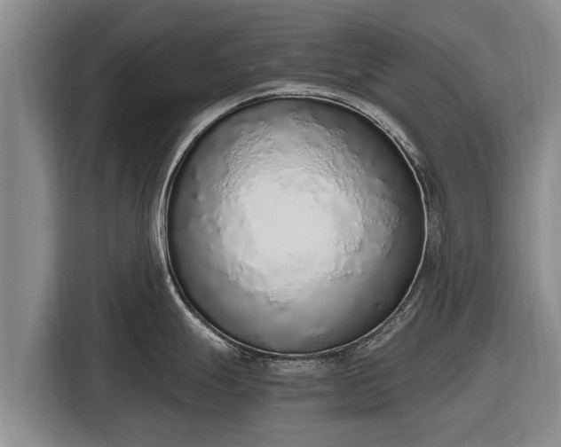 X0000116861247200912291253