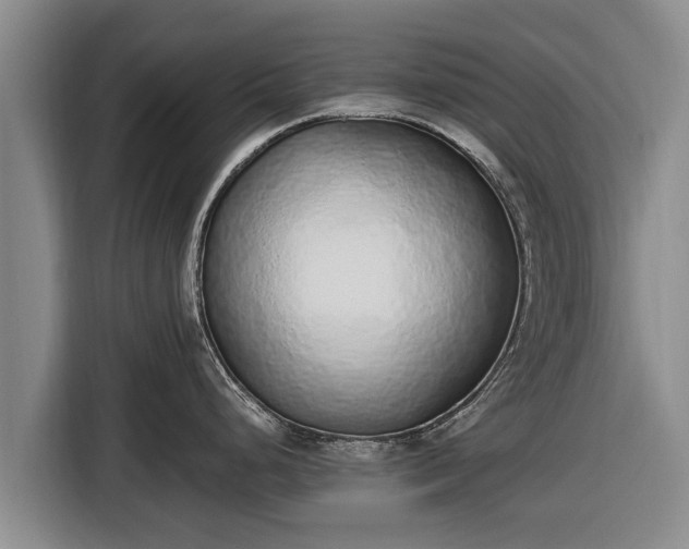 X0000116861248200912291253