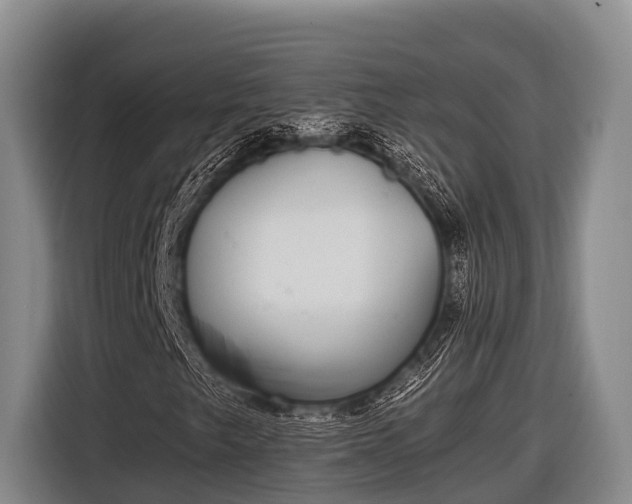 X0000116861249200912291253