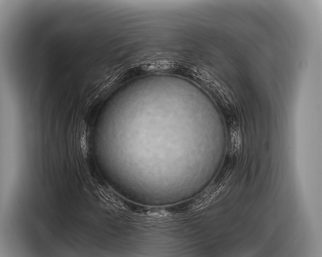 X0000116861250200912291253