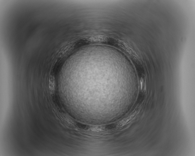 X0000116861251200912291253