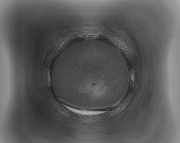X0000116861252200912291253