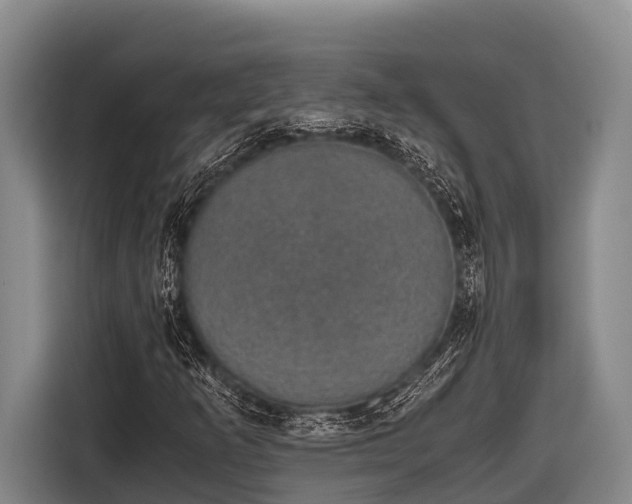 X0000116861253200912291253