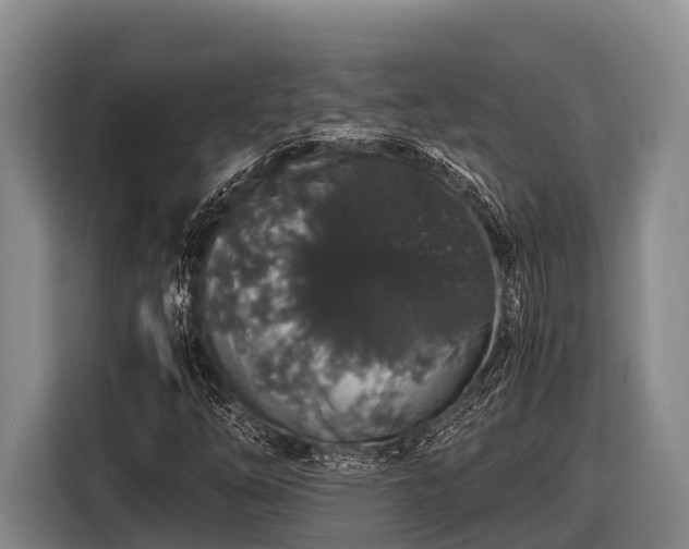 X0000116861254200912291253