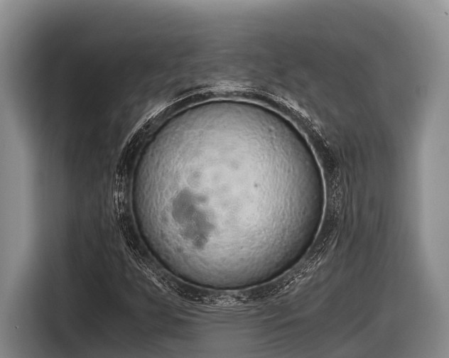 X0000116861255200912291253