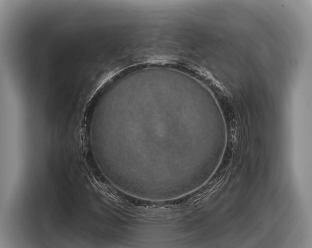 X0000116861256200912291253