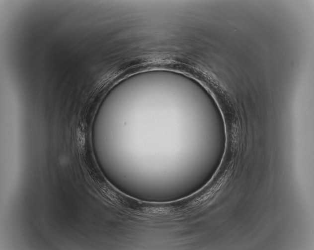 X0000116861257200912291253