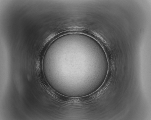 X0000116861259200912291253