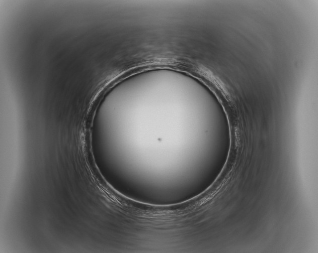 X0000116861260200912291253