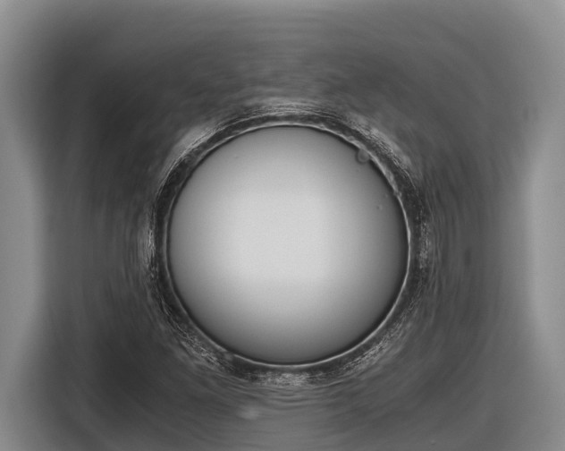 X0000116861261200912291253