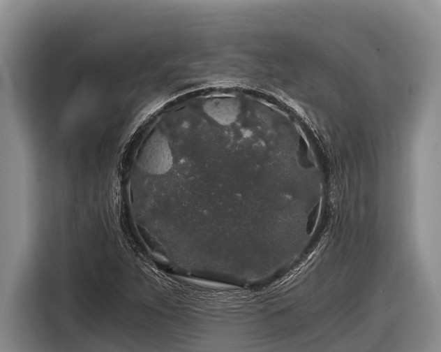 X0000116861263200912291253
