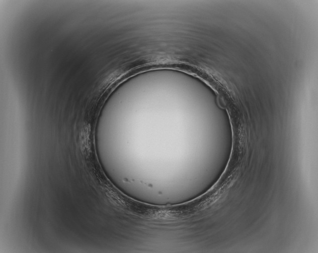 X0000116861265200912291253