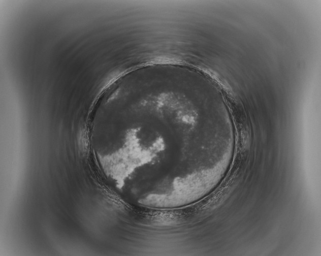 X0000116861266200912291253