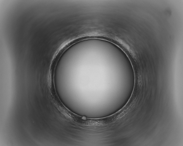 X0000116861270200912291253